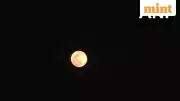 Wolf Moon 2026: India's First Supermoon Lights Up Skies Over Bhubaneswar, Kolkata, Lucknow
