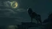 Wolf Moon 2026: Why the First Full Moon of the Year Has Its Unique Name