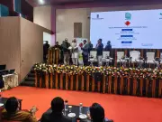 Yamunanagar Advocate Honoured for Exceptional Road Safety Services