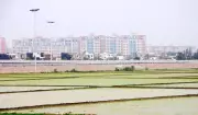 YEIDA Launches 973 Residential Plots Near Noida Airport in January