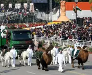 Zanskar Ponies and Bactrian Camels Steal the Spotlight at Delhi's Republic Day Parade