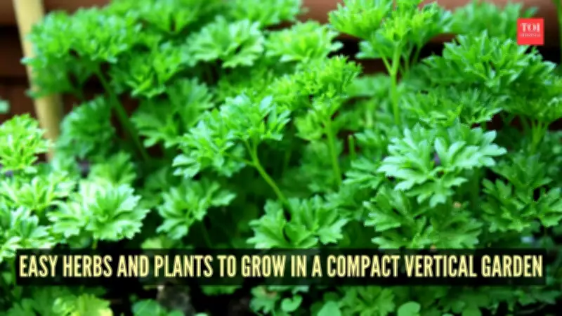 10 Best Herbs and Plants for Compact Vertical Gardens: Grow Fresh Produce in Small Spaces