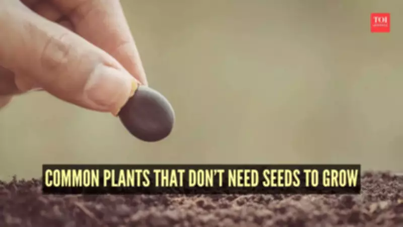 10 Common Plants That Grow Without Seeds: Nature's Asexual Propagation