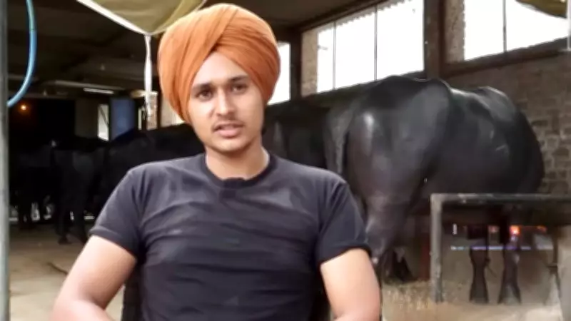 18-Year-Old Punjab Teen Earns Rs 6 Lakh Monthly from Buffalo Dairy Farm, Rejects Education Abroad