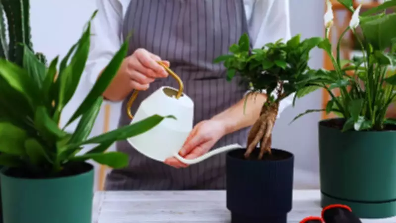 5 Creative Ways to Repurpose Old Cookware Instead of Throwing Away