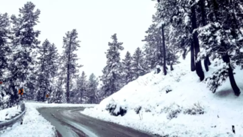 5 Indian Destinations Where You Can Still Experience Snow in March