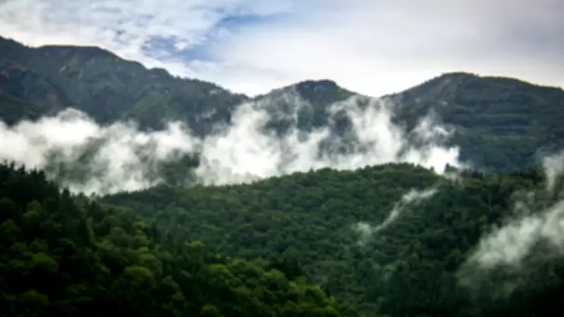 50 Projects Granted Post-Facto Environmental Clearances Since 2021, Reveals Minister