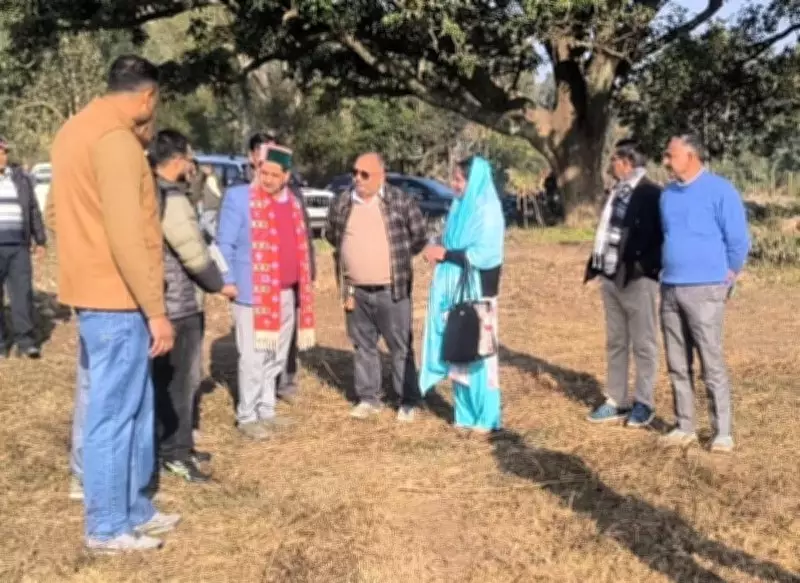 500 KW Solar Power Plant to be Established in Himachal's Shahpur