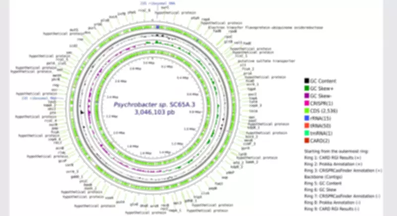 5,000-Year-Old Ice Cave Bacterium Shows Resistance to Modern Antibiotics