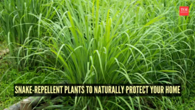 6 Natural Snake-Repellent Plants to Safeguard Your Home and Garden