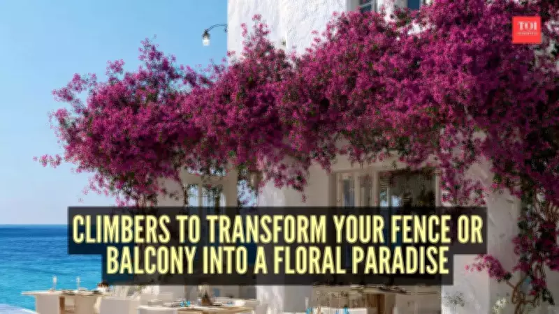 6 Stunning Climbers to Create a Floral Paradise on Your Balcony or Fence
