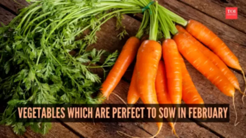 7 Best Vegetables to Plant in February for a Bountiful Spring Harvest