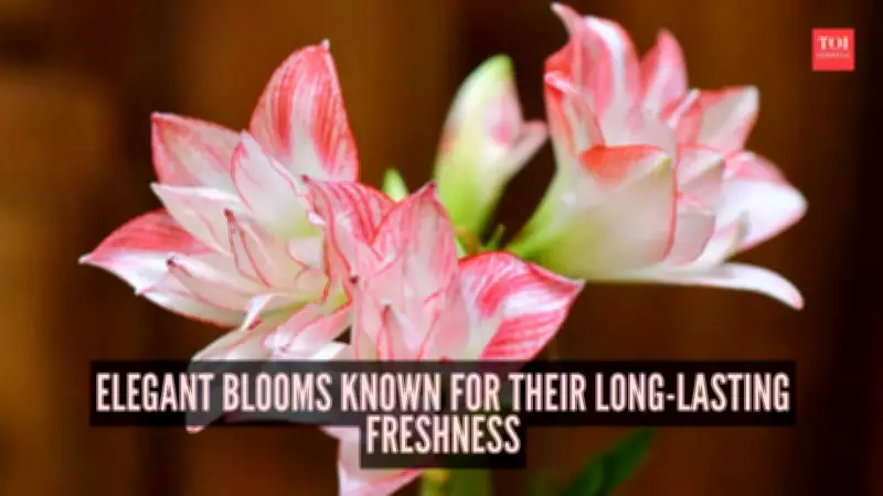 7 Elegant Long-Lasting Flowers That Stay Fresh for Weeks in Your Home