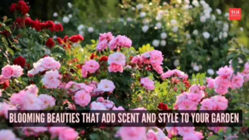 7 Fragrant Flowers to Transform Your Garden into a Sensory Sanctuary