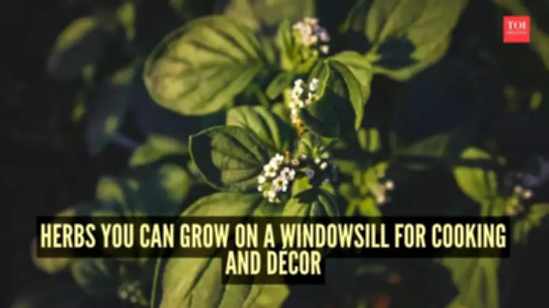 8 Essential Herbs to Cultivate on Your Windowsill for Cooking and Decor