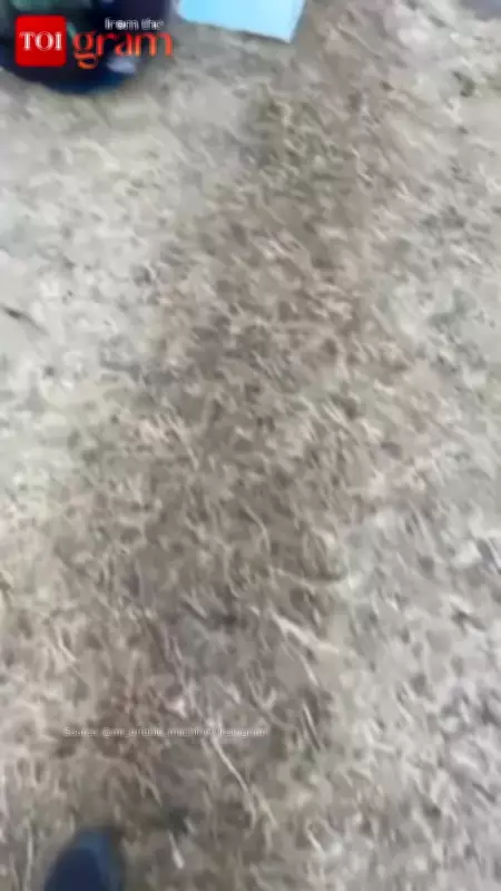 A Boy's Journey: Studying Under Open Sky With Hope and Determination