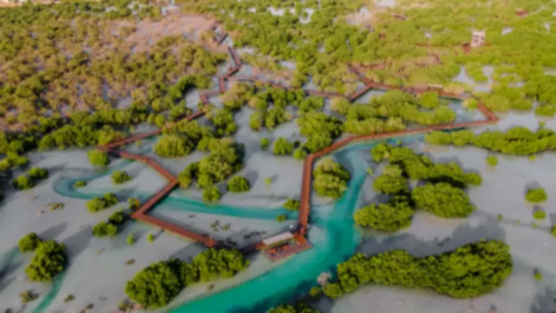 Abu Dhabi Launches Ambitious Marine Programme to Boost Fish Populations by 2030