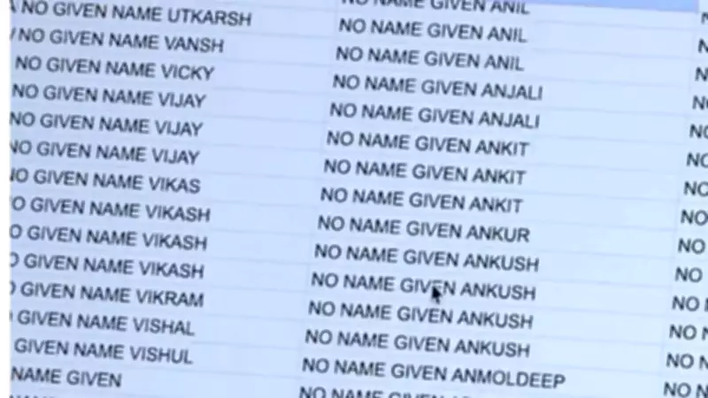 Activist Claims 'No Name Given' Trucking Firms Linked to Migrants Pose US Risk