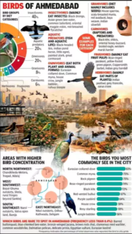 Ahmedabad Bird Atlas Reveals 181 Species, Highlights Urban Biodiversity Loss