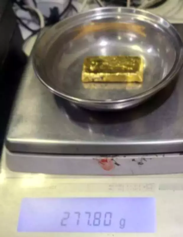 Ahmedabad Customs Seizes Gold Worth Rs 96 Lakh Smuggled in Underwear from Dubai
