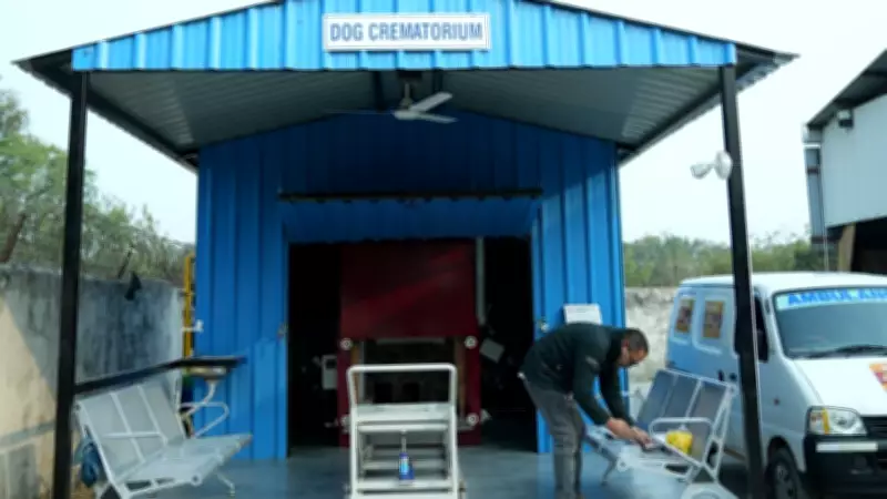 Ahmedabad Launches Gujarat's First CNG-Powered Dog Crematorium