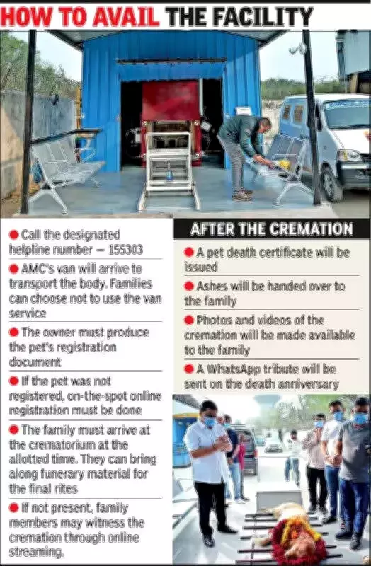 Ahmedabad Opens First Dedicated CNG Pet Crematorium for Dignified Farewells