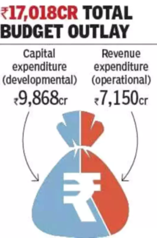 Ahmedabad's Rs 17,018 Crore Draft Budget Prioritizes Infrastructure and Sustainability