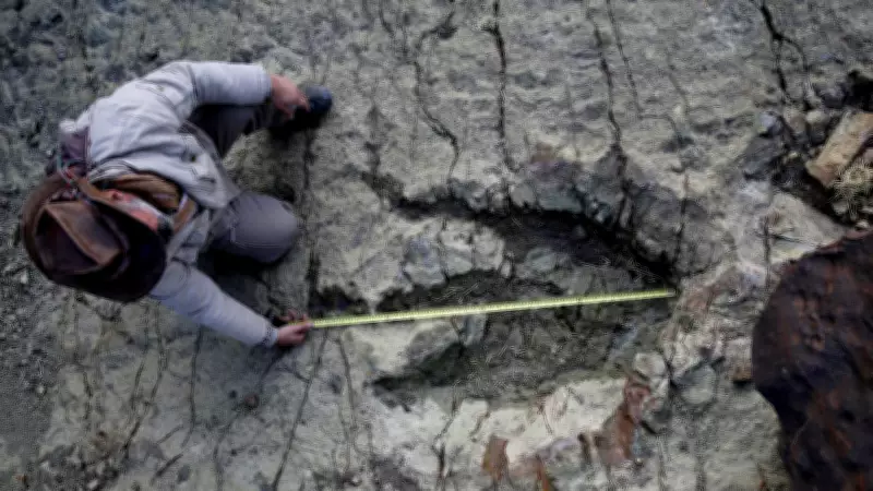 AI Breakthrough: New Method Identifies Dinosaur Footprint Origins with Precision