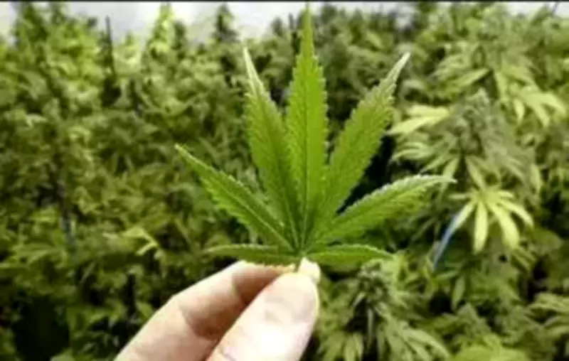 AIADMK Youth Wing Leader Among Three Arrested in Chennai Drug Bust