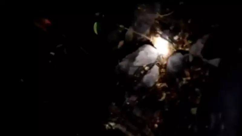 Air Ambulance Crash in Jharkhand: 7 Onboard En Route to Delhi from Ranchi