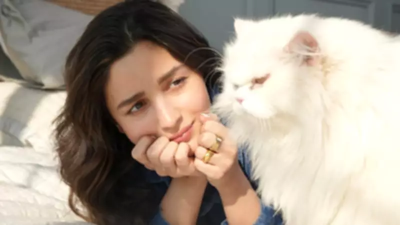 Alia Bhatt Shares Life Wisdom from Her Cats: Detachment and Sleep