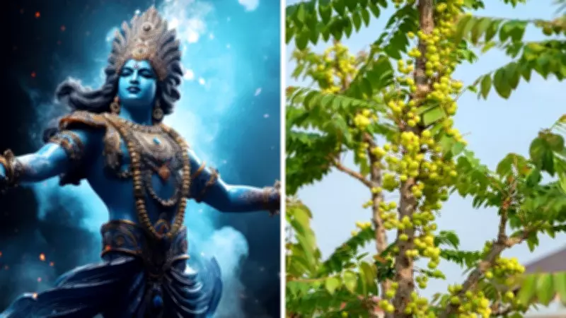 Amalaki Ekadashi 2026: Date, Tithi Timings, and Spiritual Significance