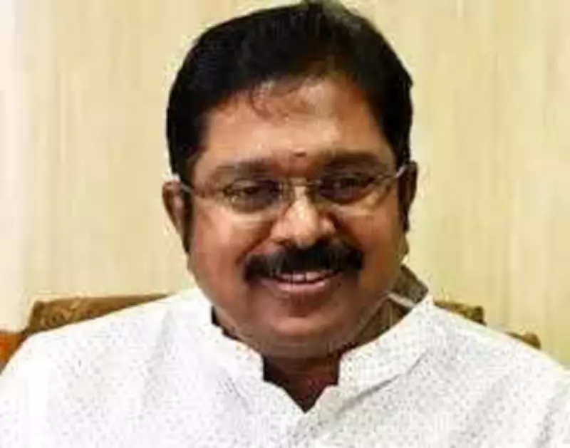 AMMK Leader Dhinakaran Denies Rajya Sabha Bid, Focuses on Assembly Polls