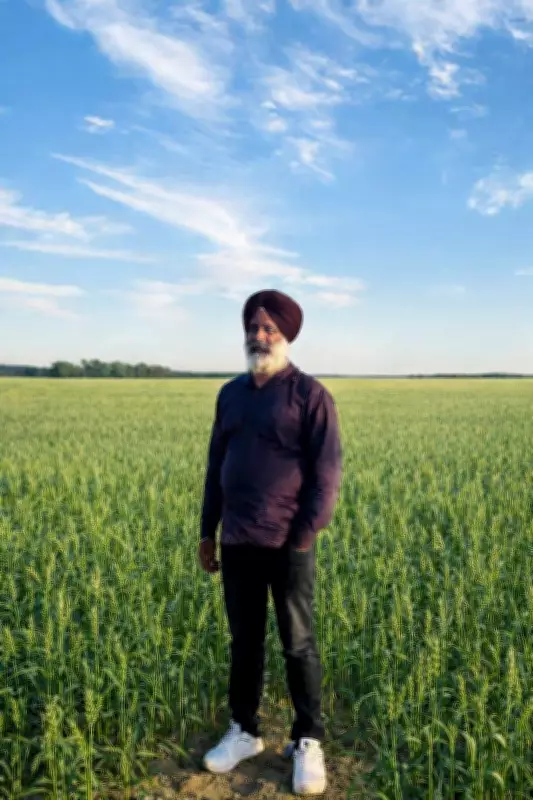 Amritsar Farmer Pioneers Carbon Credit Farming, Sets Sustainable Example