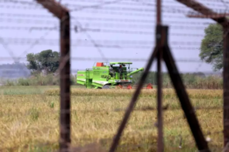 Amritsar Residents Express Disappointment Over Budget's Silence on Border City