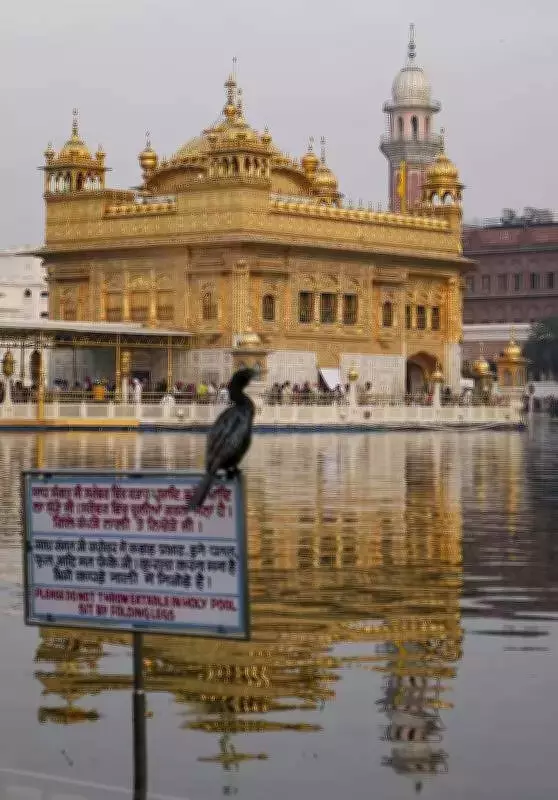 Amritsar's Holy City Plan Stalls, Leaving Meat and Alcohol Sellers in Limbo