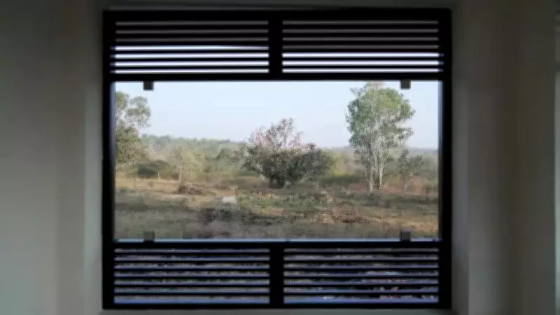 An Early Morning Safari in Bandipur: A Journey into the Wild