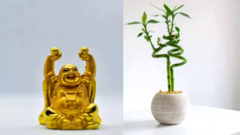Ancient Feng Shui Artifacts: Harness Positive Energy for Health & Abundance