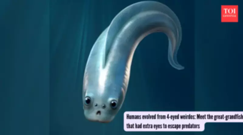 Ancient Four-Eyed Fish Fossils Rewrite Vertebrate Vision Evolution