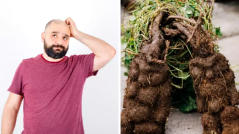 Ancient Herb Polygonum Multiflorum Shows Promise for Hair Loss Treatment