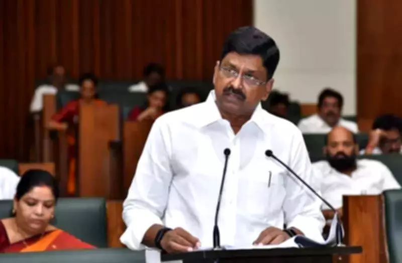 Andhra Finance Minister Slams YSRCP, Touts Budget as Path to Development