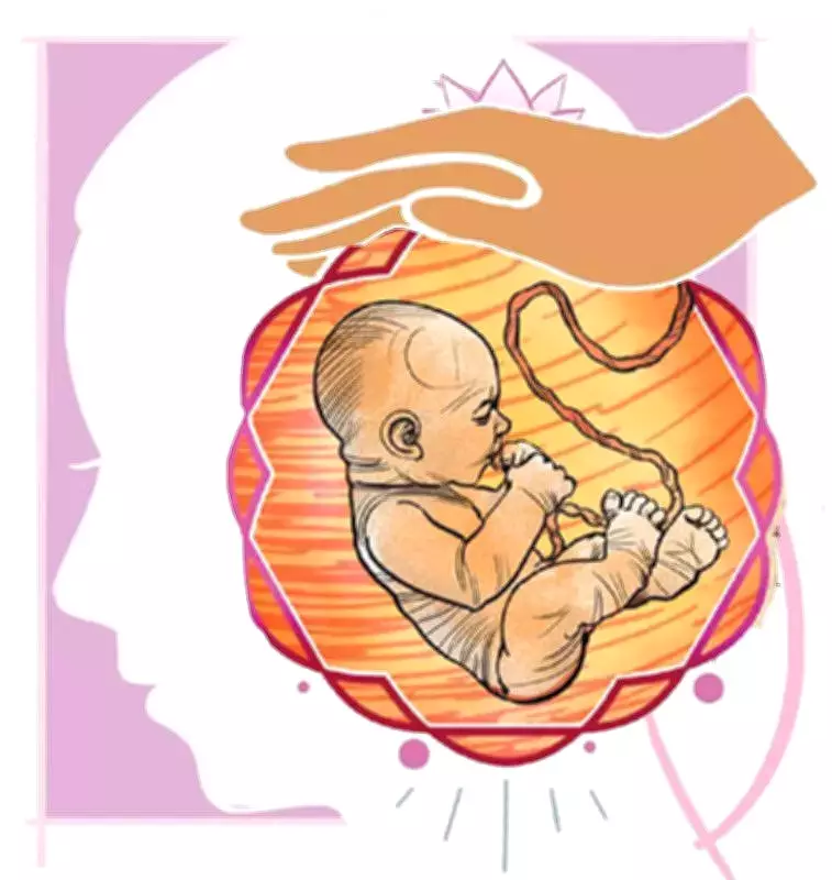 Andhra Pradesh Launches Free FCM Injection Program for Anaemic Pregnant Women