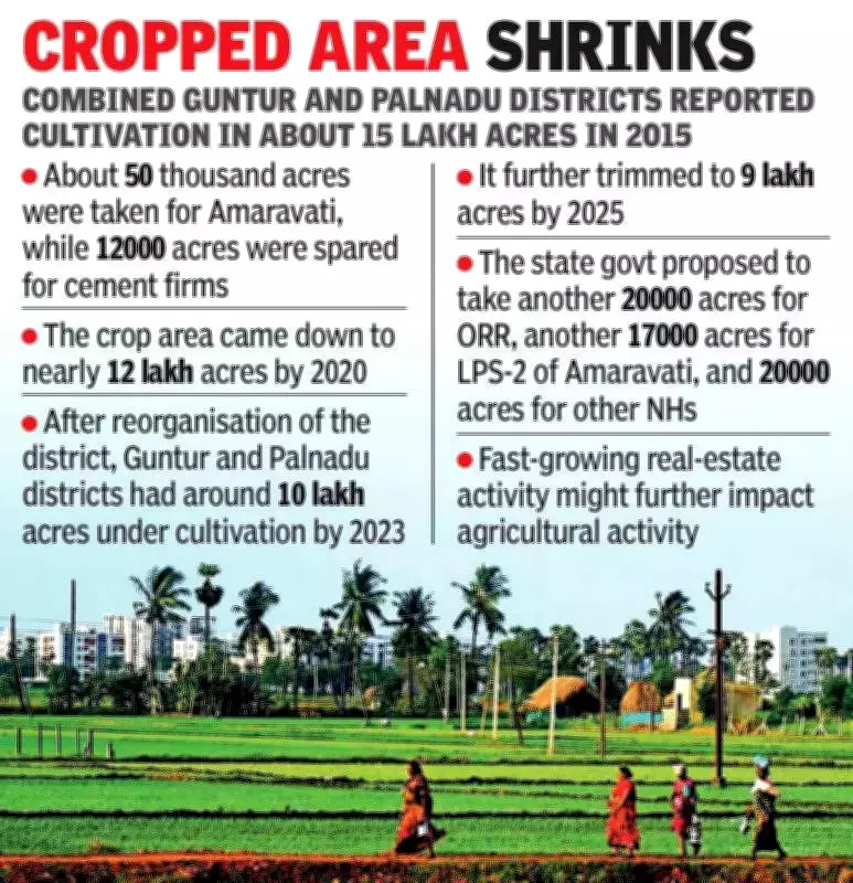 Andhra Pradesh's Agrarian Crisis: 3 Lakh Acres Lie Fallow in Guntur Region