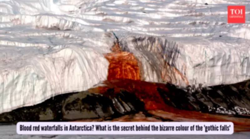 Antarctica's Blood Falls Mystery Solved: Iron Nanospheres Create Red Waterfall
