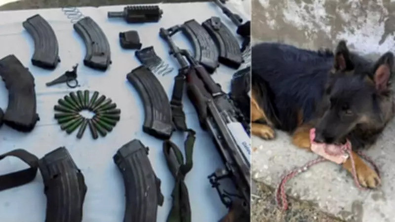 Army Dog Tyson's Heroic Charge Leads to Elimination of Three JeM Terrorists in Kishtwar