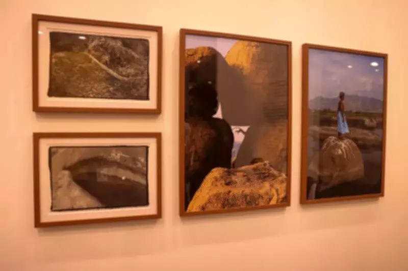 Art Meets Conservation: CPB & WWF-India Launch 'In Dialogue with Nature' at India Art Fair 2026