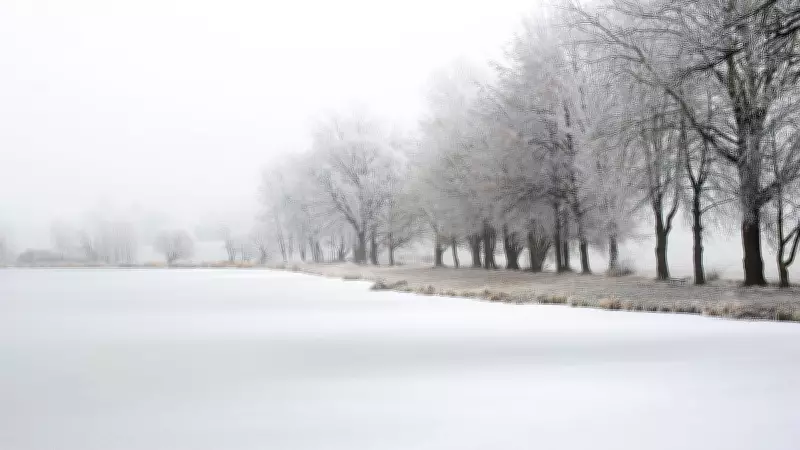 As Bravado Cracked, Love Stepped In: A Tale of Human Connection