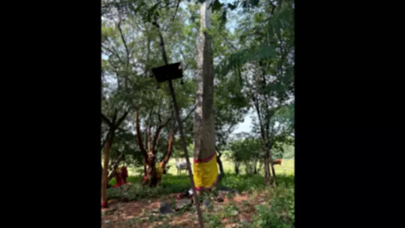 ASI Begins Major Excavation at Kumarikalpalayam Ancient Site in Tirupur