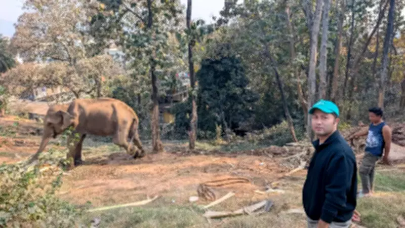 Assam's Wildlife Vet Debabrata Phukan: A Lifeline for Animals in Distress