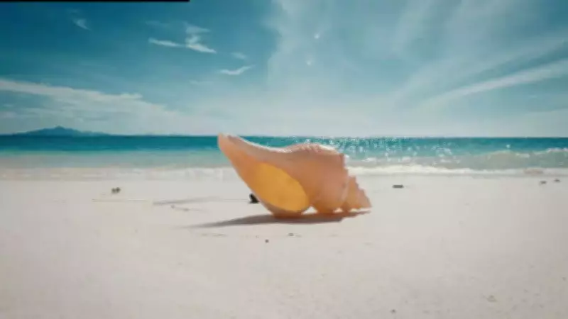 Australian Trumpet Snail's Diet Revealed: A Giant Predator of Marine Worms